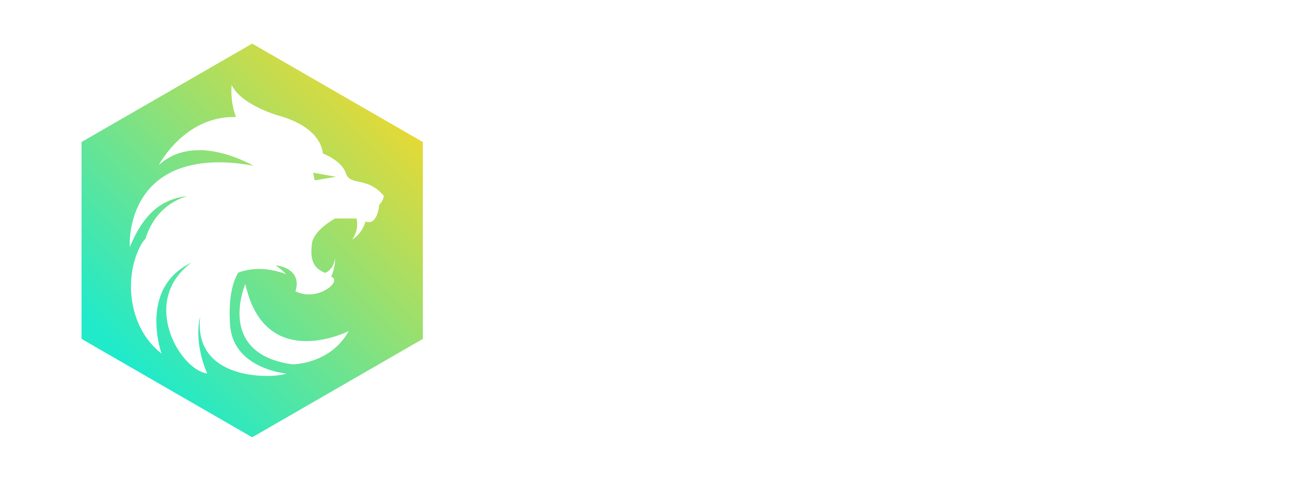 DeLeon Technologies Logo